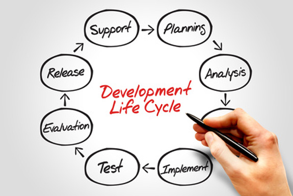 the software development life cycle